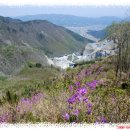 남양목장 이미지