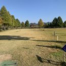 까치울중 건너편 육교밑 | 전국 파크골프장 투어(33-1)- 전남 함평군 함평읍 함평파크골프장에서 라운딩 1부