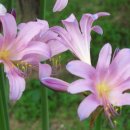 삼익 공인중개사사무소 이미지