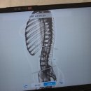 대성스크린골프 | 잠실 골퍼 주목! 석촌호수 바디관리 전문 스페이스뷰티에서 삼전역 골프통증 예방하기