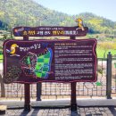 진도여라 이미지