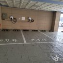 통영바다향기