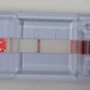 과천우주동물병원 이미지