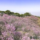 천안농협주유소 이미지