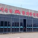 외포리 황금젓갈 옆