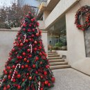 PiTc | 연남동 크리스마스 트리가 예쁜 카페 PITC