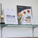 당차당