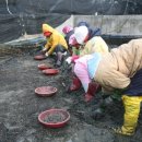 바위영어조합법인 이미지