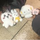 그냥뽑기