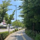 39주 정기검진 갔다가 당일 출산❤️ 초산맘 유도 분만 후기