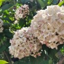 성내목장 이미지