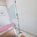 더사랑 동물병원 | [고양이 병원] 군산 더사랑 동물 병원 n년차 고양이 구토 검사 후기