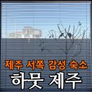 마을정원유지관리 | 제주도 독채 숙소 하뭇 제주 | 한림읍 감성 숙소 아이와 함께한 후기