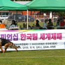 Gumiland 이미지