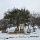 3.1.공원 이미지