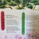 밀면이야기 이미지