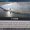 영주 무섬마을(2022. 11. 7.)
