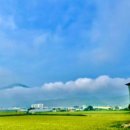 동신미곡처리장 이미지