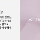 드레스룸 Dress Room 이미지