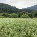 송현펜션민박 이미지