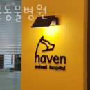헤이븐동물병원 이미지