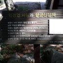 코끼리칼국수 이미지