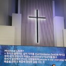 네신을벗어라