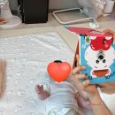 두두스토리 100일아가 첫 전집 앙팡 내돈내산 후기