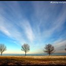 풀잎궁전 이미지