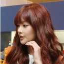 이쁜머리염색 이미지