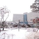 하늘병원 앞 이미지