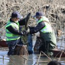 가래치기 이미지