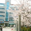 웰리스휘트니스 이미지