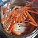 박달착한수산 이미지