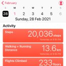 수 산 대 이미지