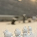 휴바스 이미지