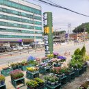 청평화훼종묘사 이미지