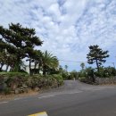 한림리조트 이미지