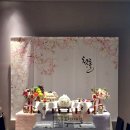 스테이 다연 이미지