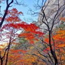 북한산, 밤골~백운대~칼바위능선에서 담아온 환상적인 가을 단풍! 역시 명불허전이다! - 2024년 10...