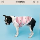 해피앤올