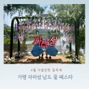 6월 꽃축제 가평 자라섬 꽃페스타 남도꽃정원 방문 후기, 시간, 입장료