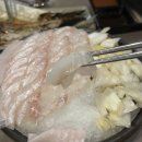 오징어 데이 티스토리