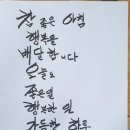 다미보화