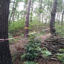 신 하나농장 이미지