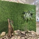 마고플레인 | 양산 물금 대형카페 마고플레인 후기｜빵 맛집+포토존 가득한 감성 카페