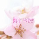 한주 이미지