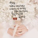 모든날이 행복하기를 Daum카페