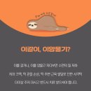100세치과 이미지