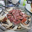 구공탄뽈따구 이미지